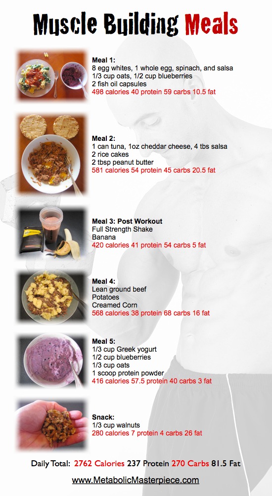 Muscle Building Meals Metabolic Masterpiece