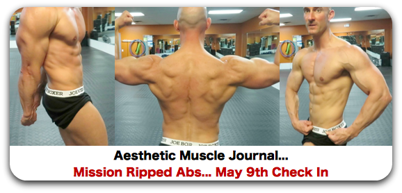 Aesthetic Muscle Mission Get Ripped Abs