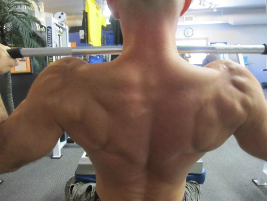 bodybuilding exercise for the back muscle
