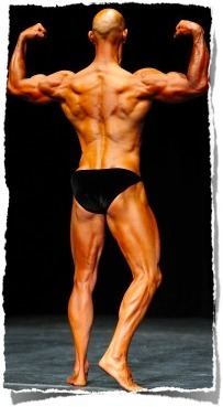 bodybuilding back double biceps pose