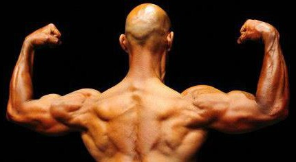 Scott Tousignant back double biceps pose