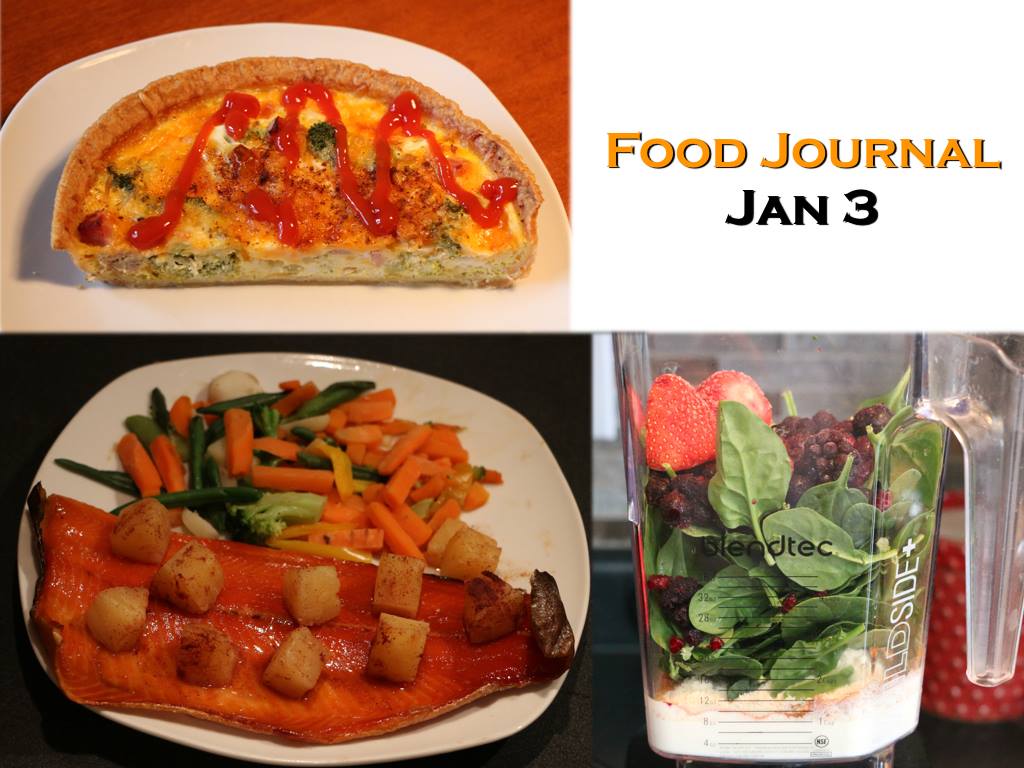 food journal jan 3
