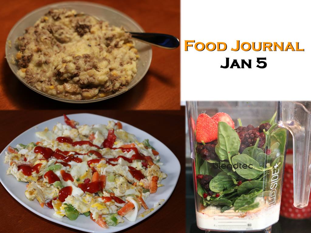 food journal jan 5