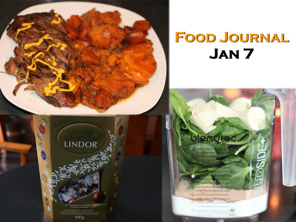 food journal jan 7